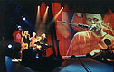 Schweine-Tour 2