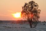 ... News 505 Bild