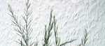 Frohes Fest News 178 Bild