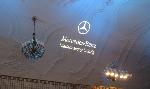 Rathausdeckenbeschriftung News 524 Bild